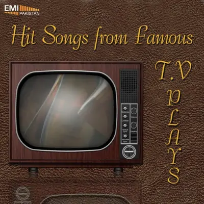 Hit Songs From Famous TV Plays (2013) Mp3 Songs