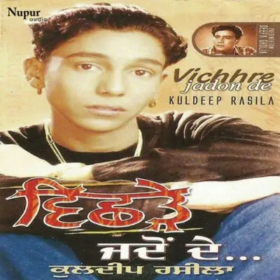 Vichhre Jadon De (2013) Mp3 Songs