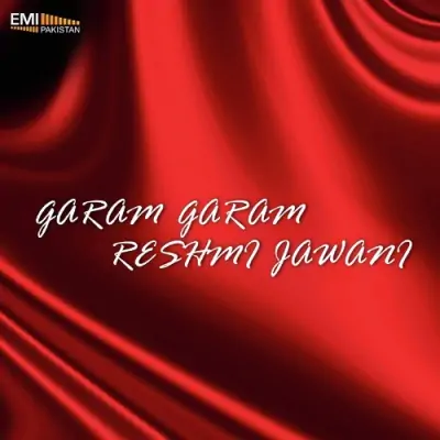 Garam Garam Rehsmi Jawani (2013) Mp3 Songs