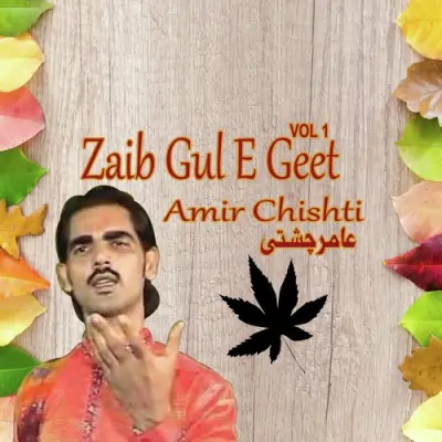 Zaib Gul E Geet (2013) Mp3 Songs