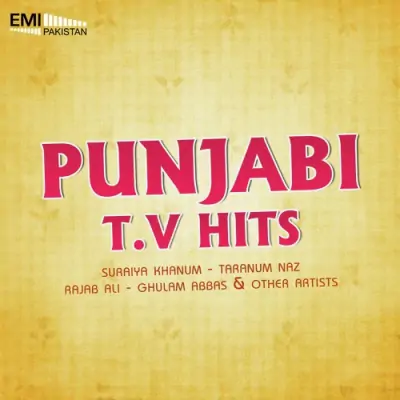 Punjabi TV Hits (2013) Mp3 Songs