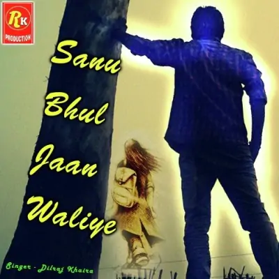 Sanu Bhul Jaan Waliye (2013) Mp3 Songs