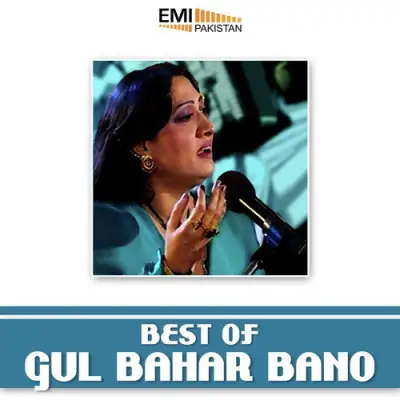 Best Of Gul Bahar Bano (2013) Mp3 Songs