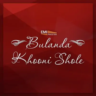 Bulanda Khooni Shole (2013) Mp3 Songs