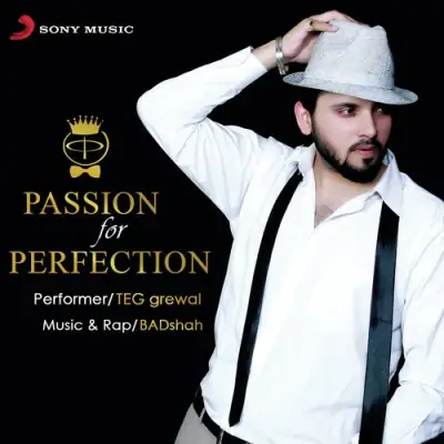 Passion For Perfection (2015) Mp3 Songs