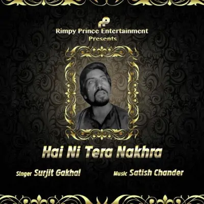 Hai Ni Tera Nakhra (2016) Mp3 Songs