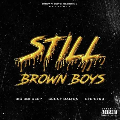 Still Brown Boys (2020) Mp3 Songs