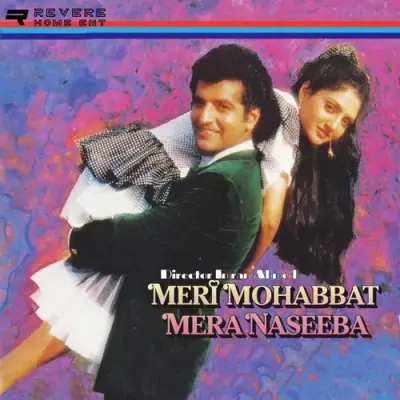 Meri Mohabbat Mera Naseeba (1993) Mp3 Songs