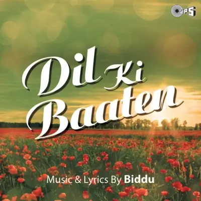 Dil Ki Baaten (1994) Mp3 Songs