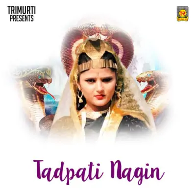 Tadpati Nagin (1995) Mp3 Songs